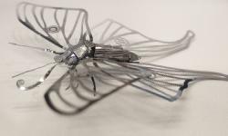 Featured image of post 2022年度总结