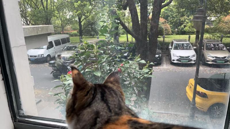 Featured image of post 比屁股还要懒