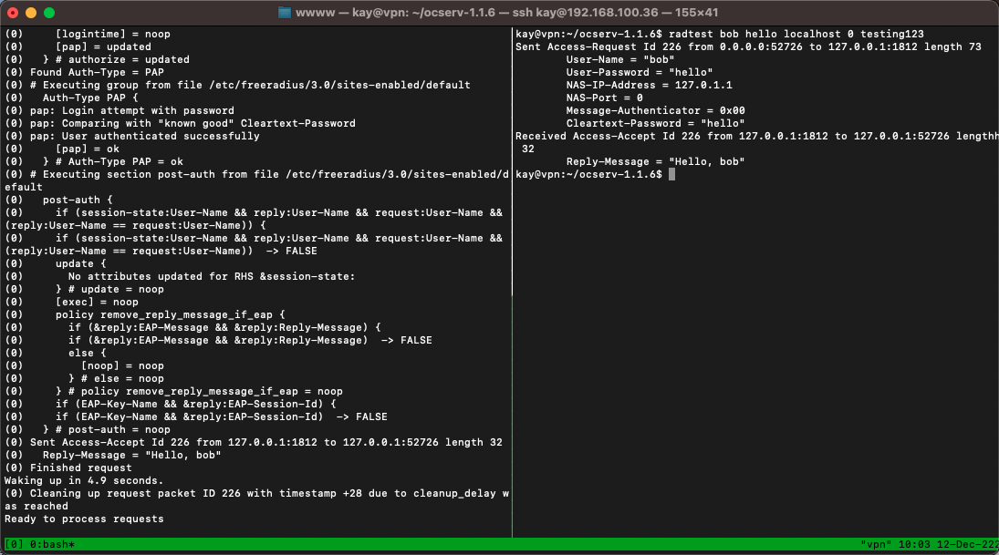 freeradius服务debug